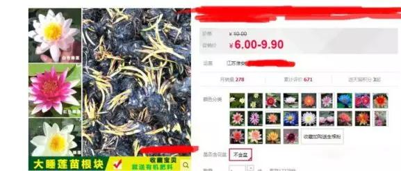 宿迁神苗是真的吗,宿迁的苗木为什么叫神苗