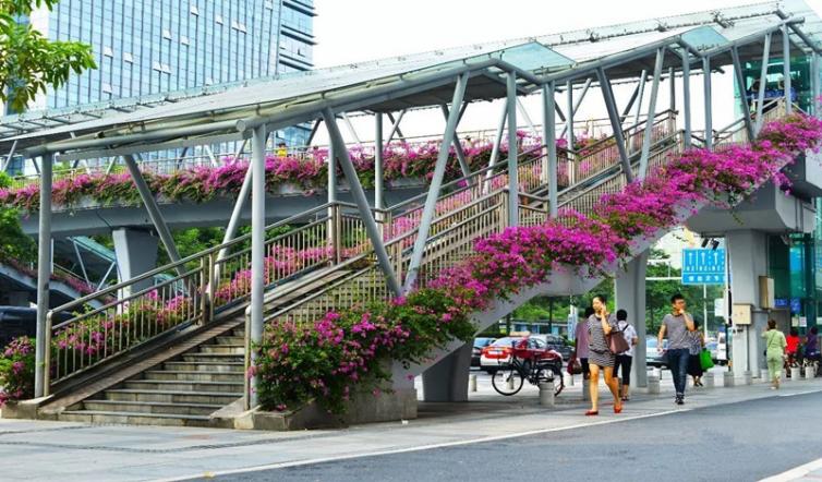 广东佛山自驾游最佳路线图,广东佛山自驾游十大最优景点