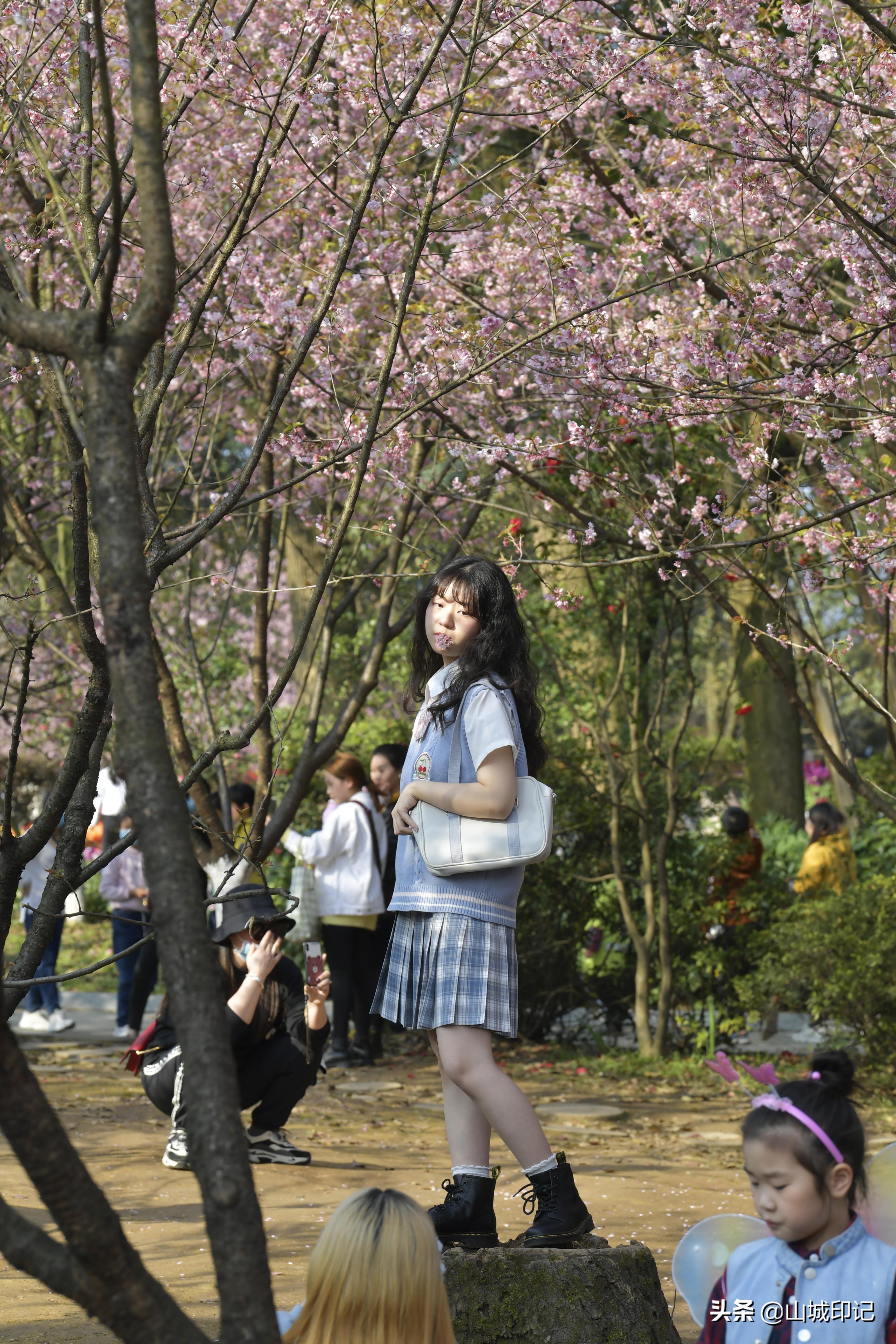 穿日本和服很美很好看,日系和服与樱花拍照姿势