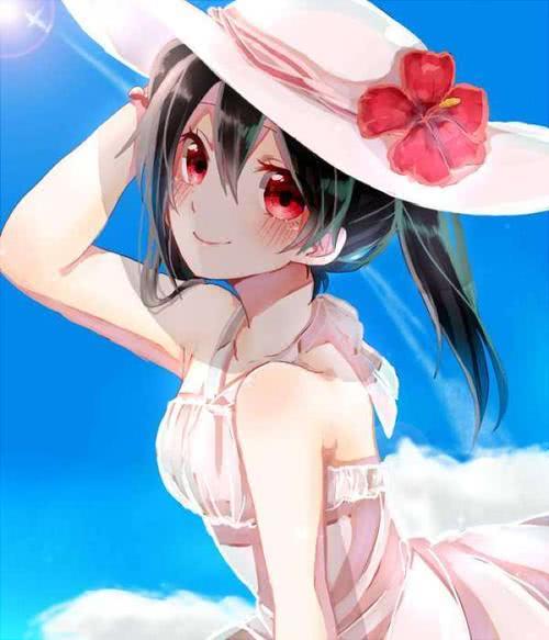 动漫双马尾妮可 (动漫人物妮可简介)