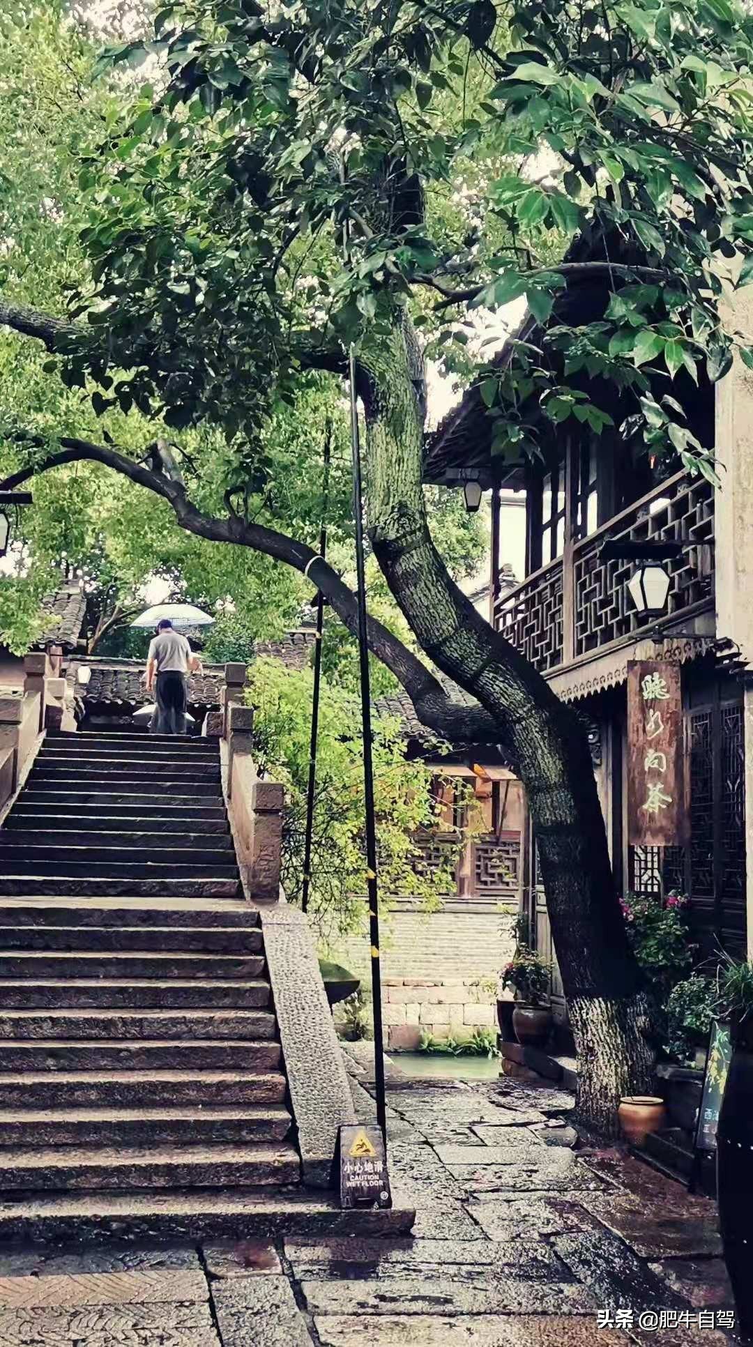 古色古香的水乡,古色古香江南水镇