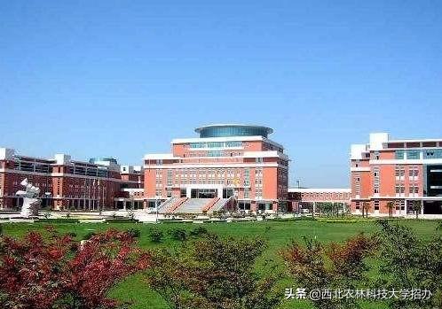 西北农林科技大学实力到底怎么样？这10项数据才是正解