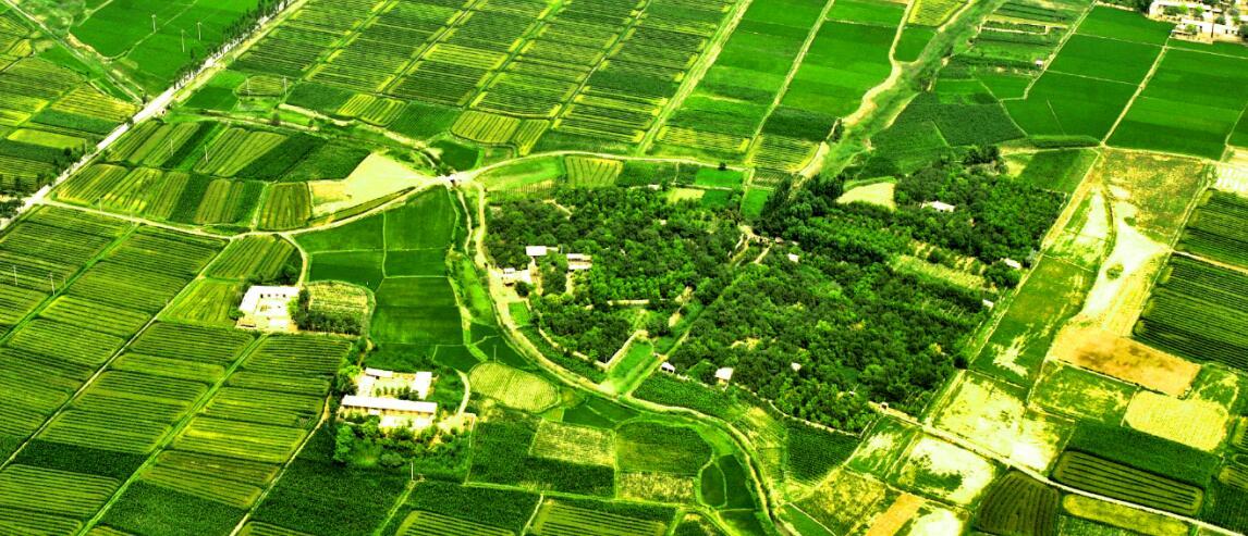 “塞上硒谷”携特色农产品进驻北京，助力京城健康生活