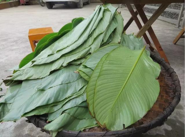 科普端午节和吃粽子的由来,端午粽百科