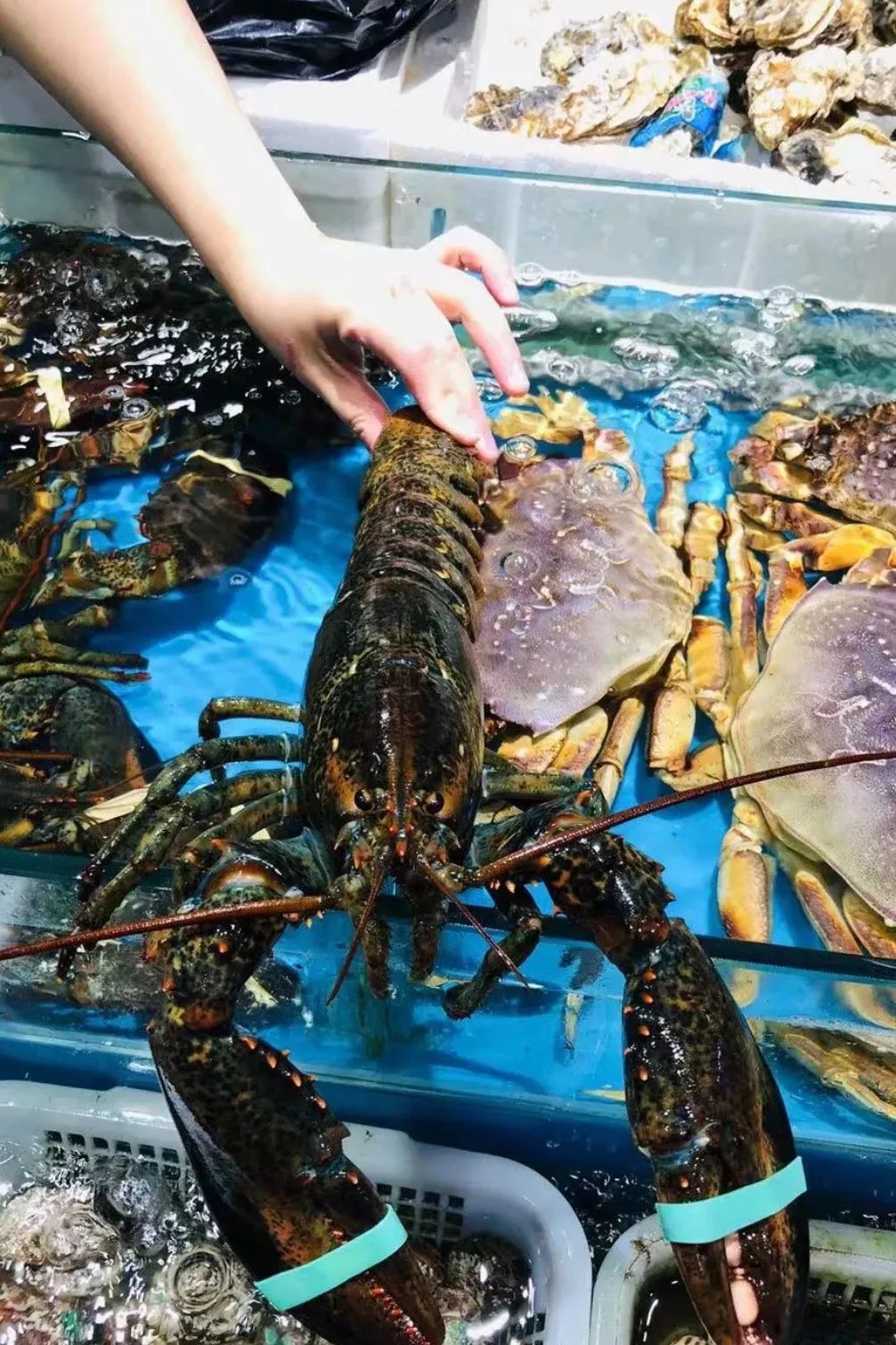 西安批发市场大全,西安最全批发市场地址