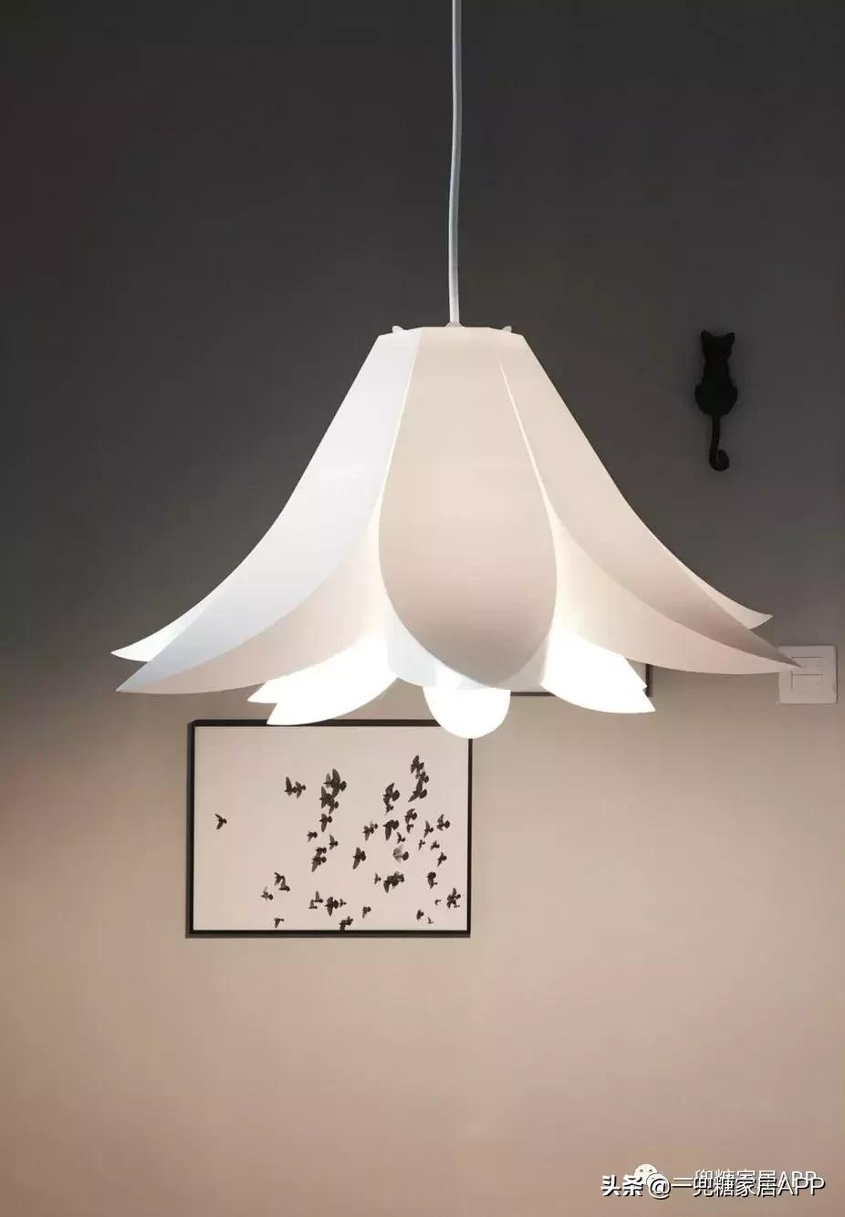 闭眼买的灯具,闭眼买不出错的车