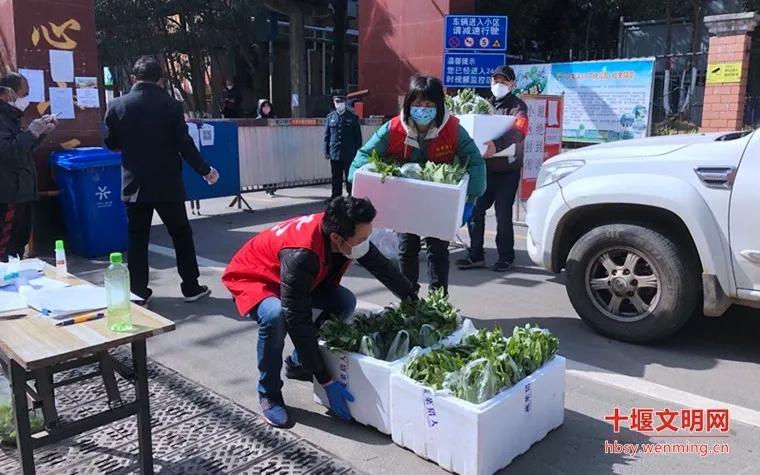 十堰有哪些应急救援队,十堰志愿突击队