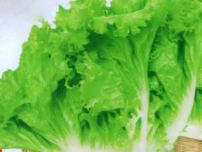 胆囊切除术后饮食食谱做法,胆囊切除术后饮食怎样调理