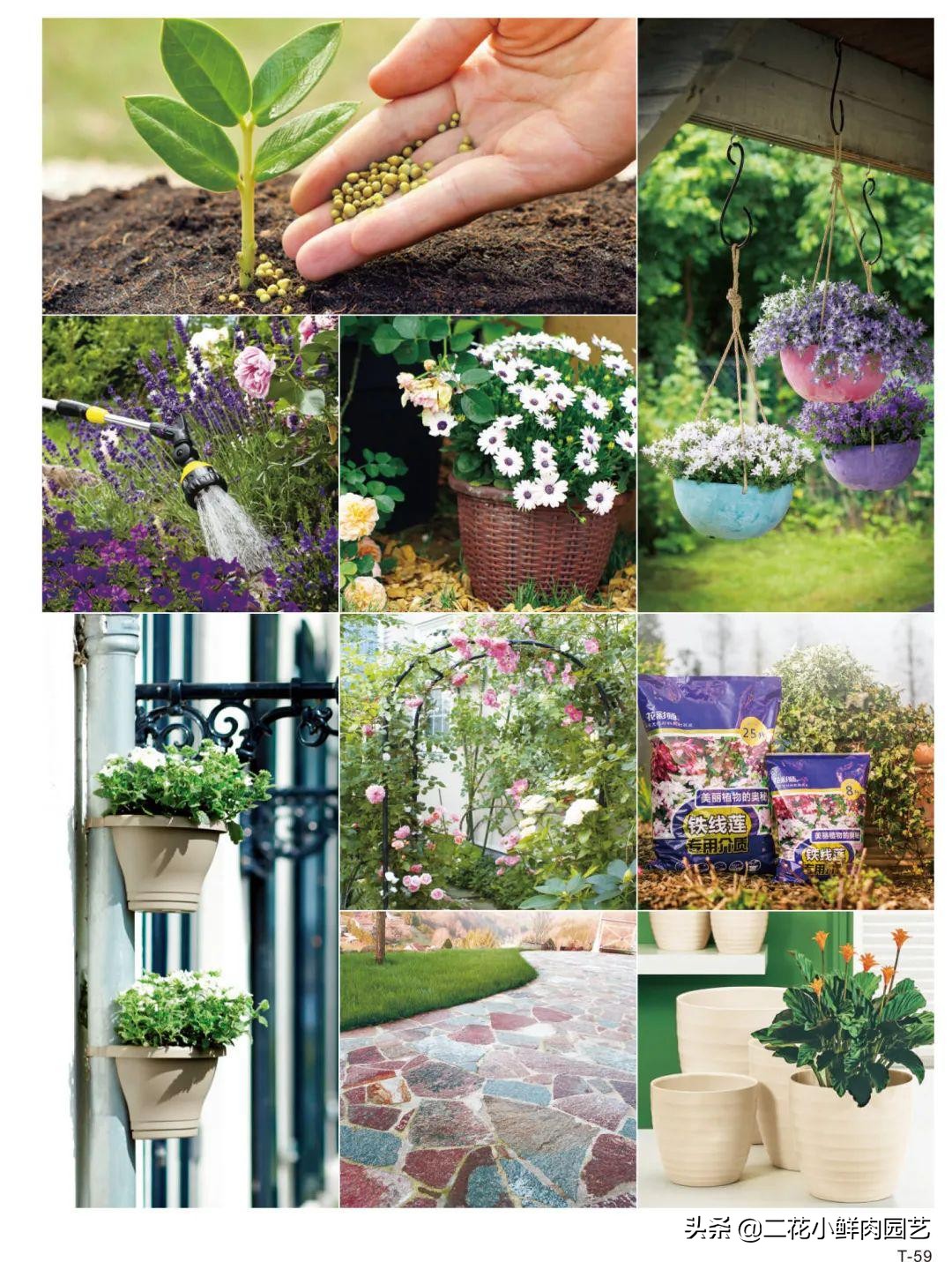 鍥壓鑺卞崏绉嶆鐭ヨ瘑鍏ラ棬,鑺卞崏鍥壓濡備綍鍏ラ棬