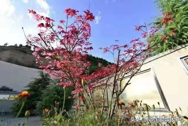 大美长武全部视频,把大好河山收藏