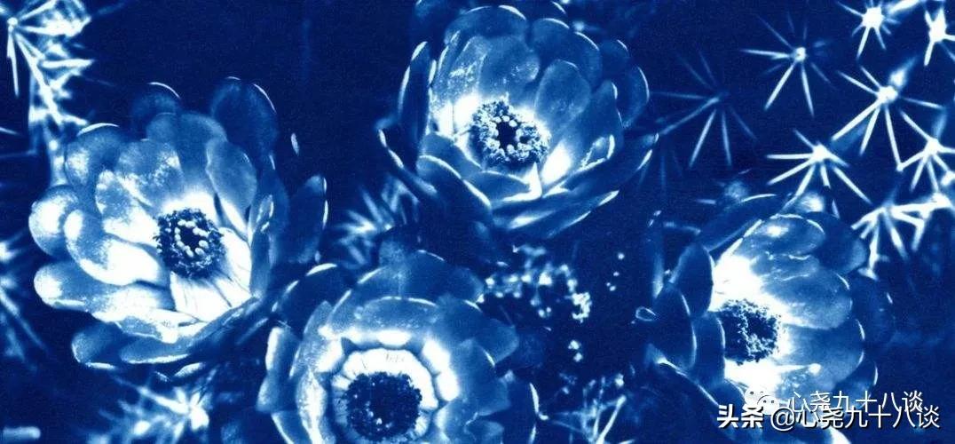 蓝晒，数码时代依旧可用的古老显影技术