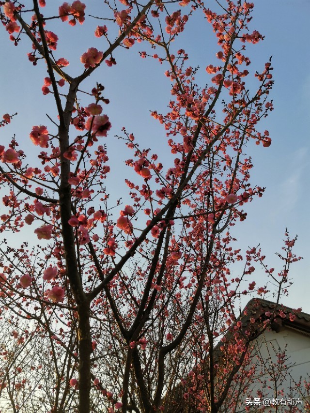 描写春天的4字词语成语,描写春天的成语好词好句一年级