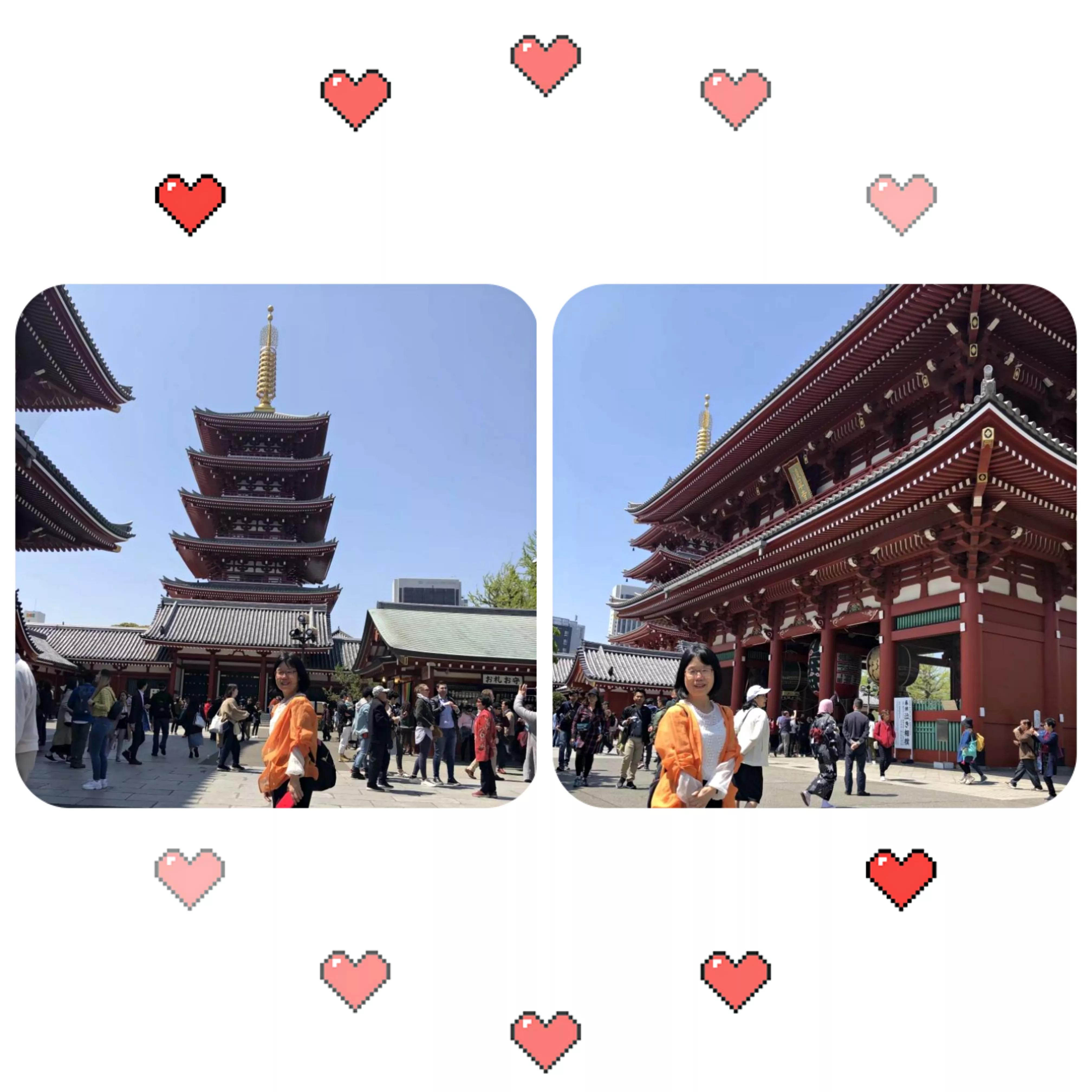 浪漫樱花舞完整版,浪漫樱花28步