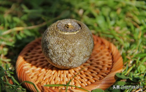 茶毫发霉和白霜的区别,发霉的生茶怎么处理好喝
