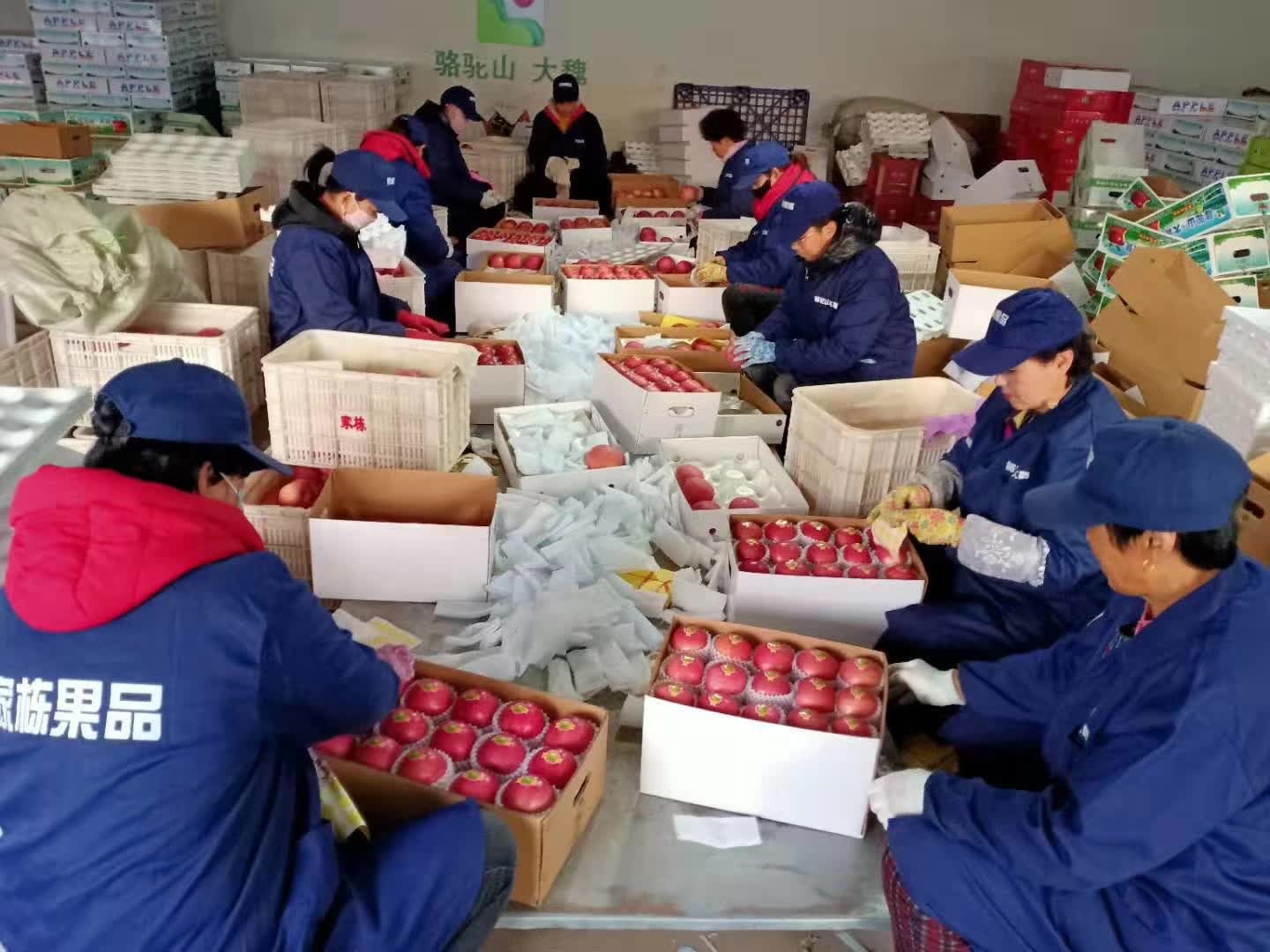 果农致富新模式,孙家栋自主创新