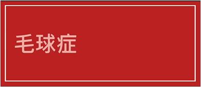 怎样预防猫咪毛球症,猫咪毛球在宠物医院怎么处理