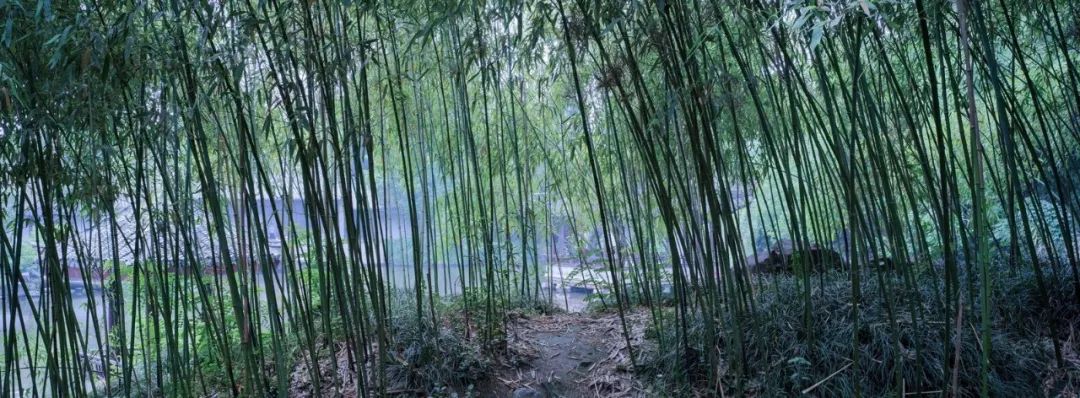 中国园林第一人，每个中国人都该谢谢他