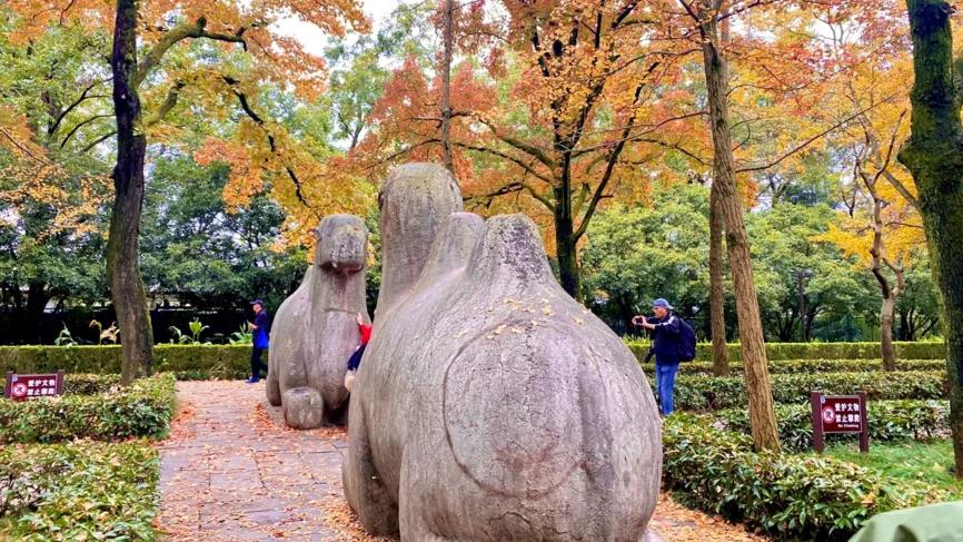 这才是真正的南京,这两天南京的温度是多高