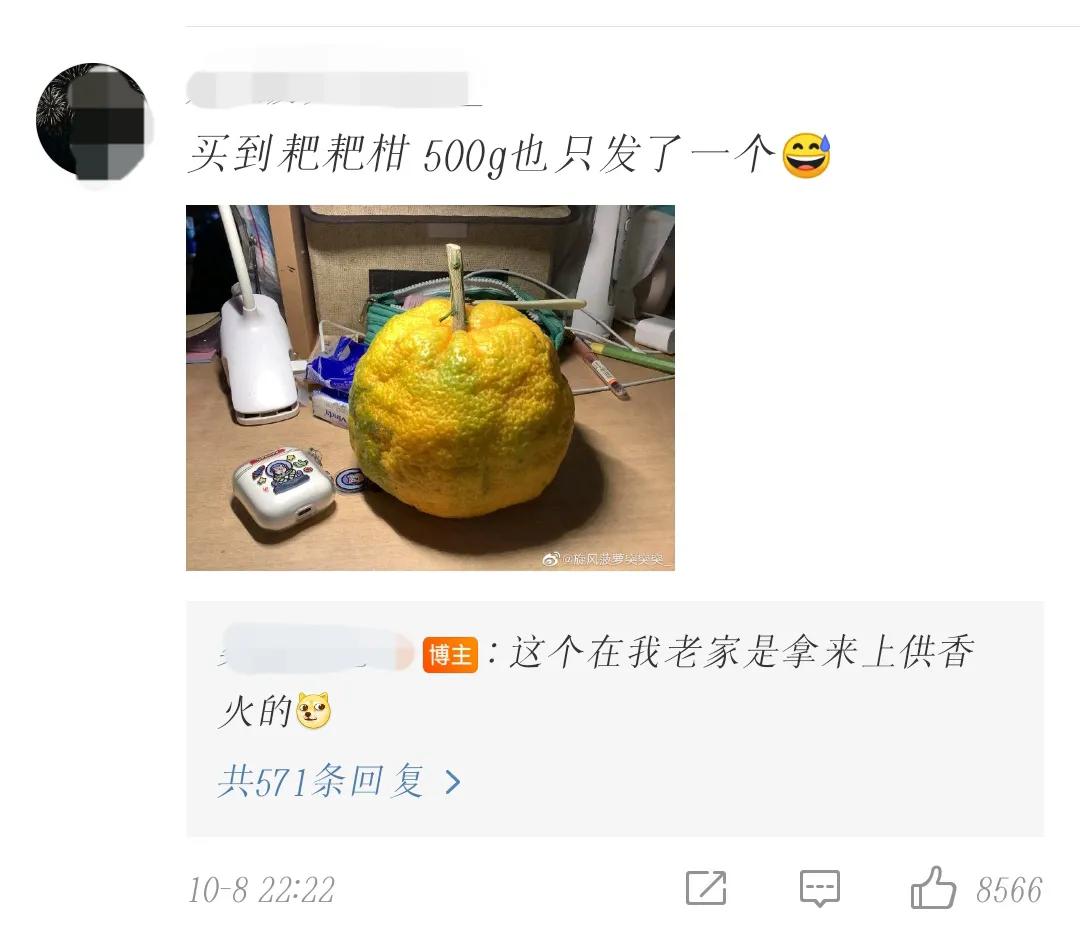 芒果买5斤送3斤338元,买5斤送4斤芒果