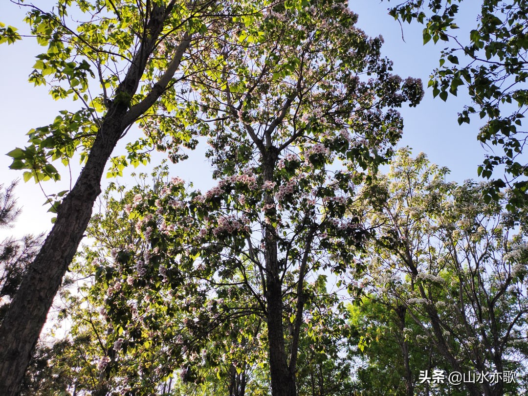 石家庄有个天然氧吧,石家庄天然氧吧旅游景点