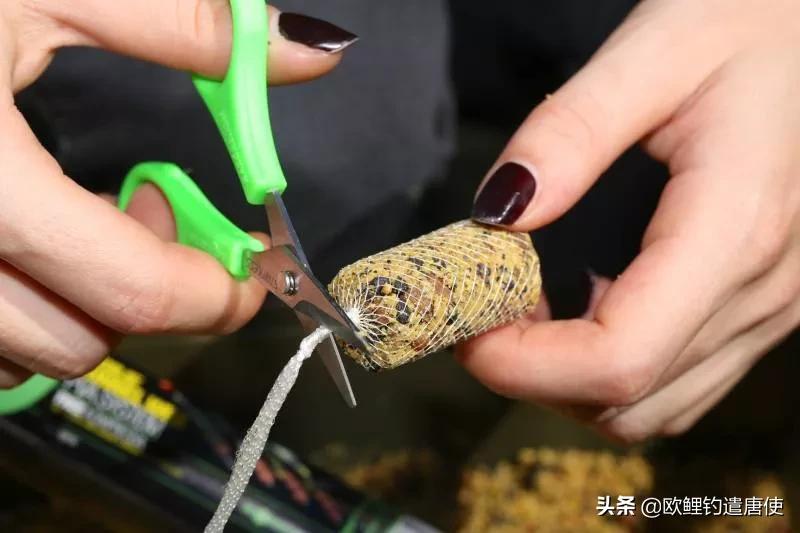 欧洲疫情催生钓鱼热？名企推新手套装钓大鲤鱼