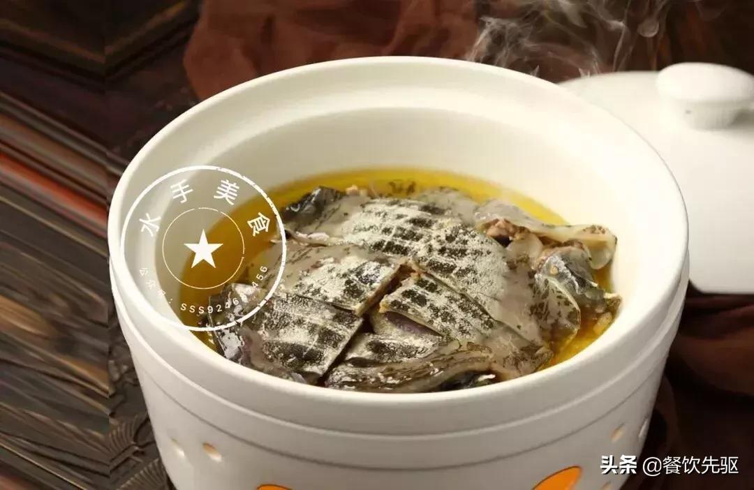甲鱼菜谱家常菜做法,甲鱼菜正确吃法大全