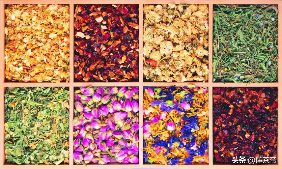 泡茶喝的茶花有哪些,干茶花和茶树花