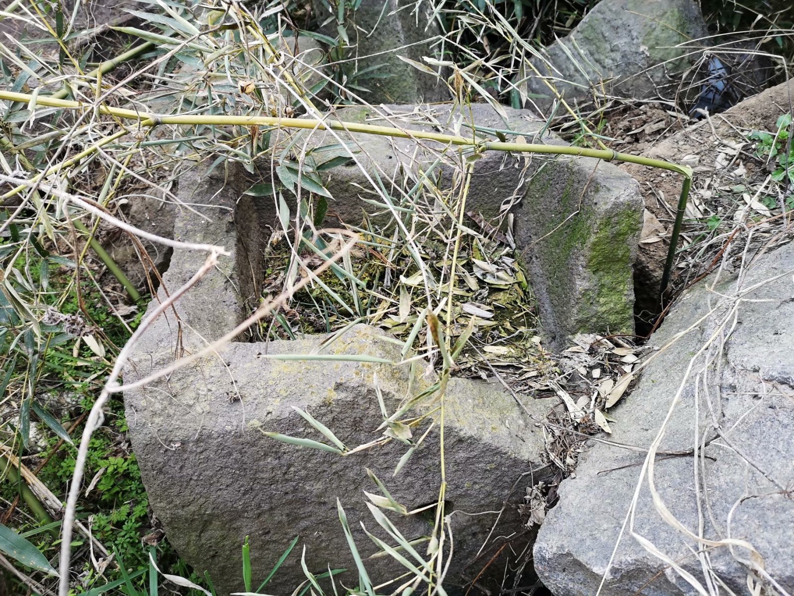 摩托周边旮旯游——探访明光法华禅庵塔