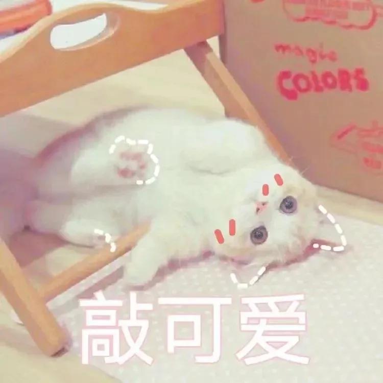 皮肤油毛孔粗大,油痘肌黑头毛孔粗大