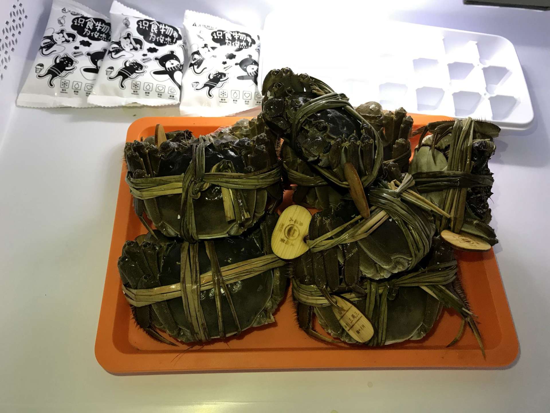 小户型风冷无霜双开门冰箱推荐,三星510l冰箱尺寸