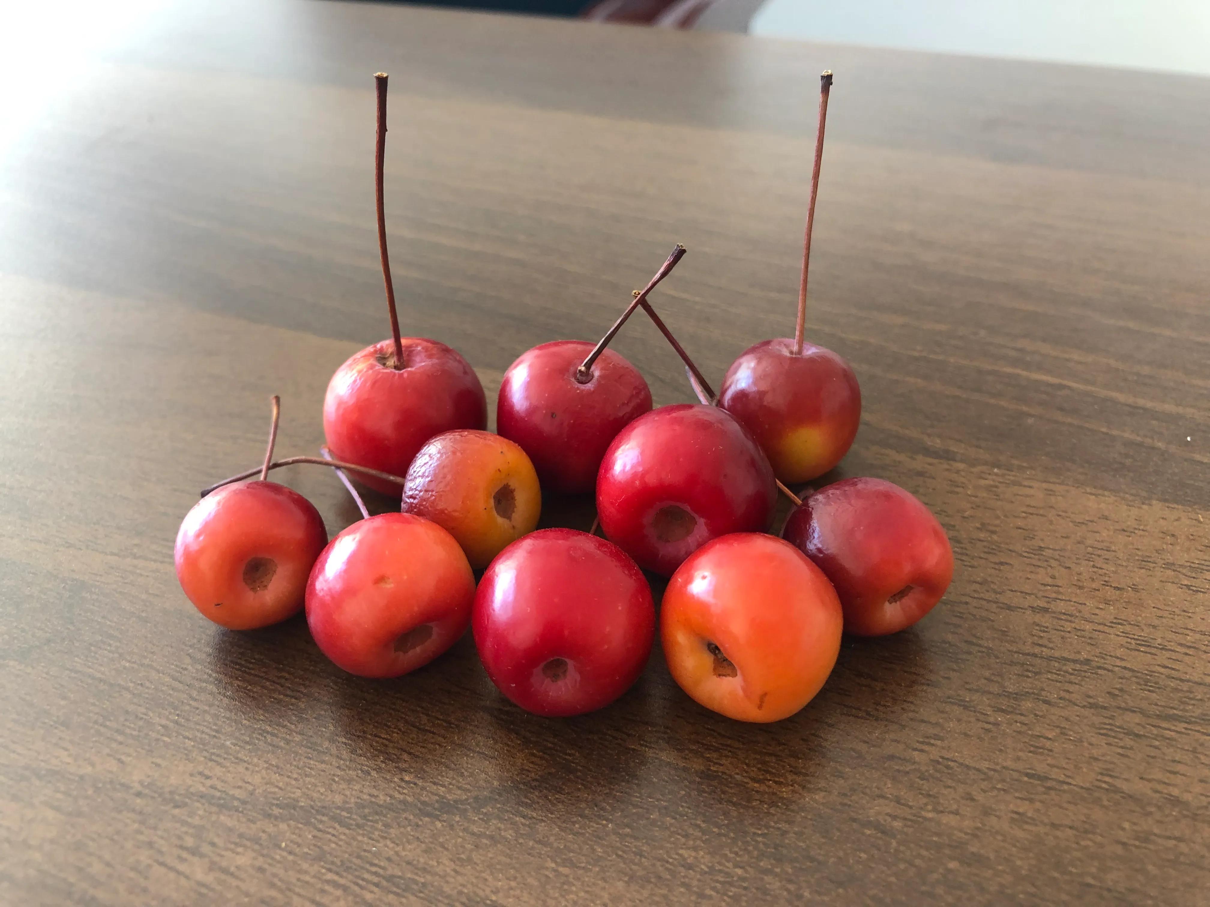 生活需要慢慢修行,生活需要好好修心