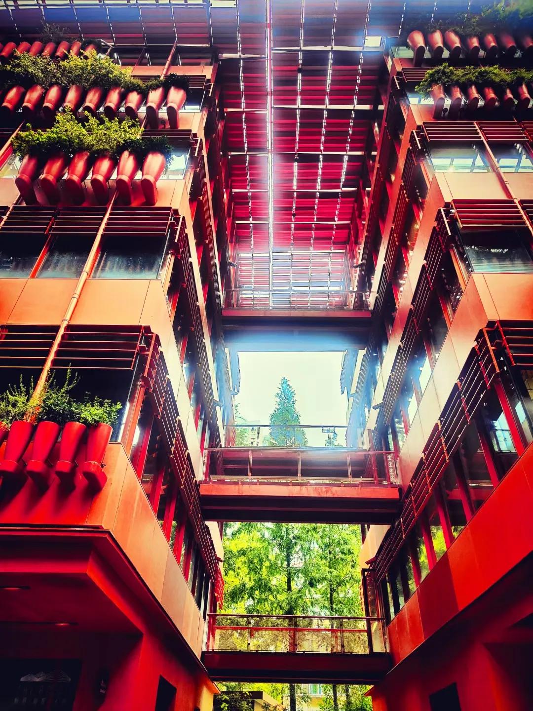 打卡魔都目前最火的网红地