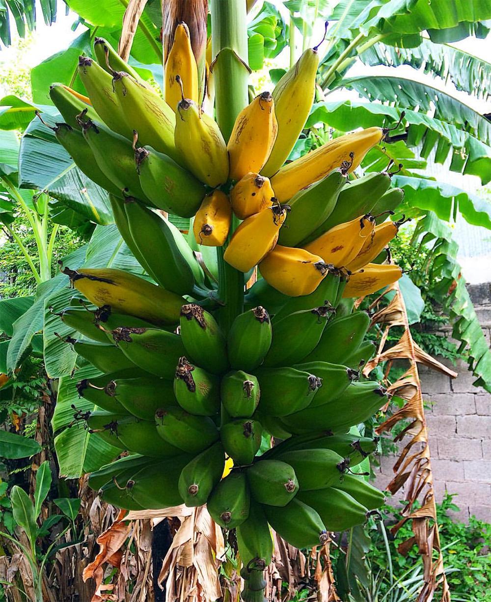 韩雪明星推荐好物,韩雪好物