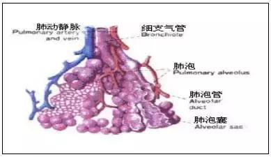 张宏玉教授呼吁：除非有紧急医学情况，否则不要提前选择剖宫产！