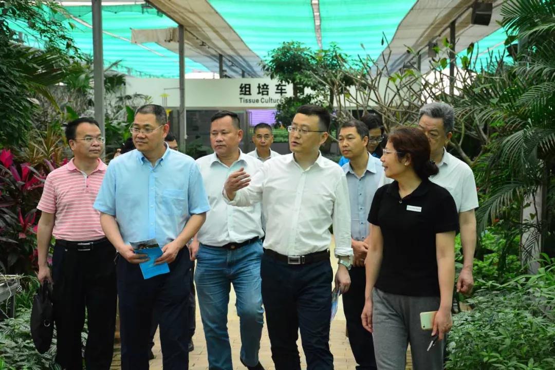 中农富玉大事记,中农富玉未来发展趋势