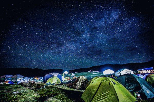 阿坝雅克音乐节多少钱 (阿坝红原雅克音乐节)