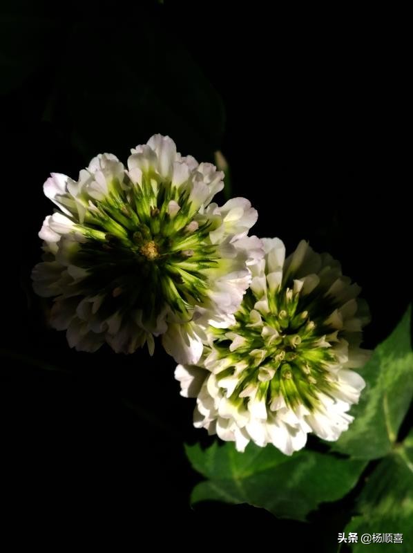 过犹不及说明了什么哲学道理,过犹不及是永远的真理