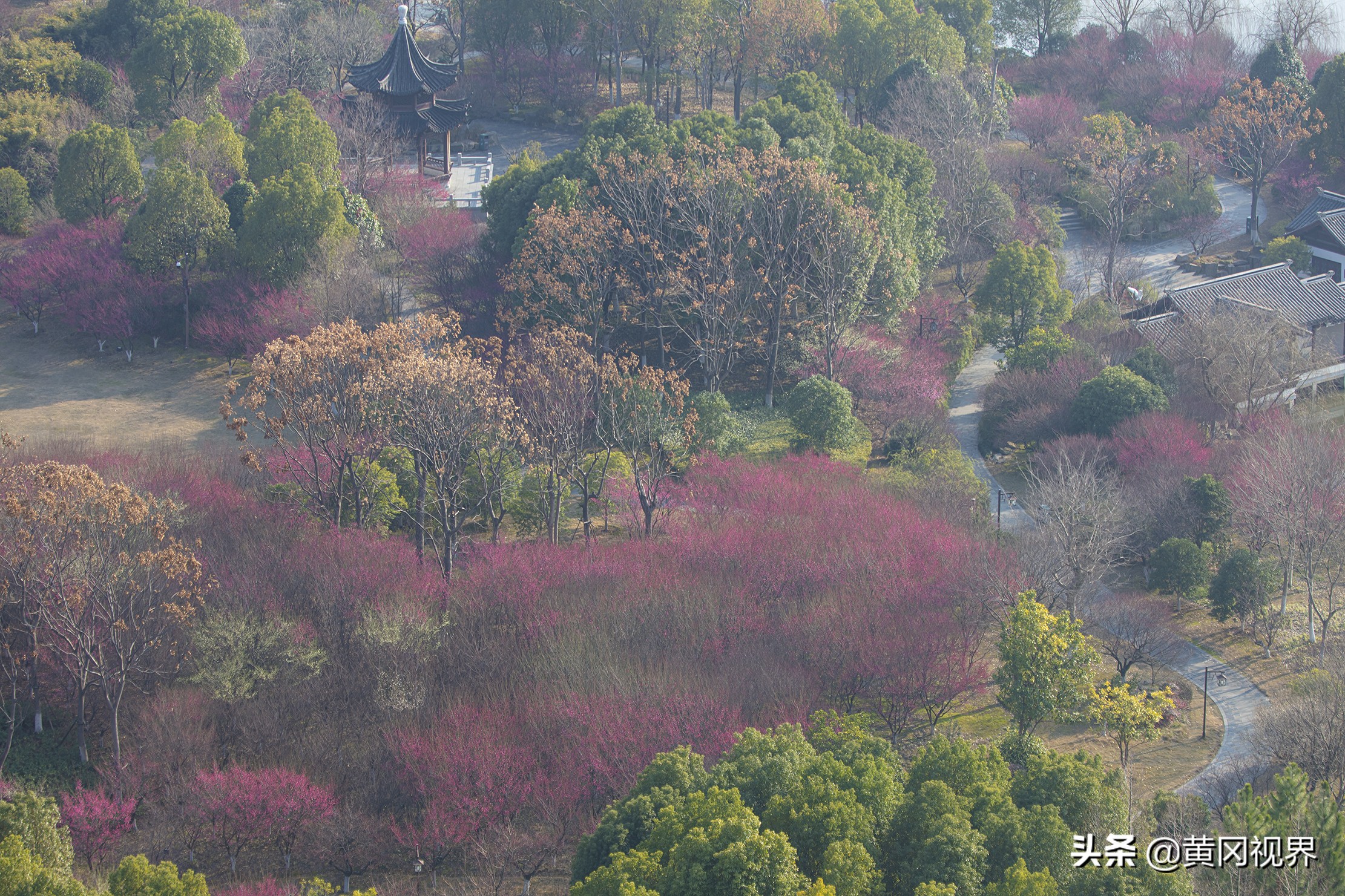 疫战日常,疫期日常