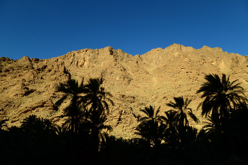 撒哈拉沙尘暴照片,撒哈拉沙漠沙尘暴实拍