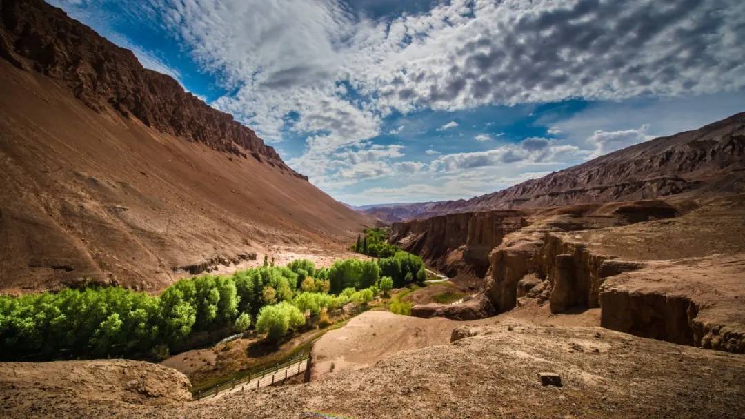 疫情肆意蔓延是什么意思,疫情为什么那么多地方管控