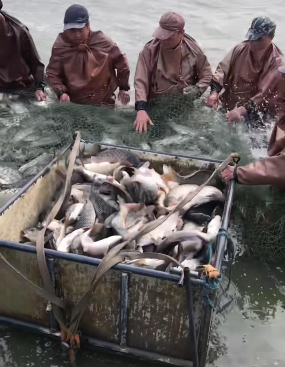 静海花园因为什么火起来的,静海花园的经营模式