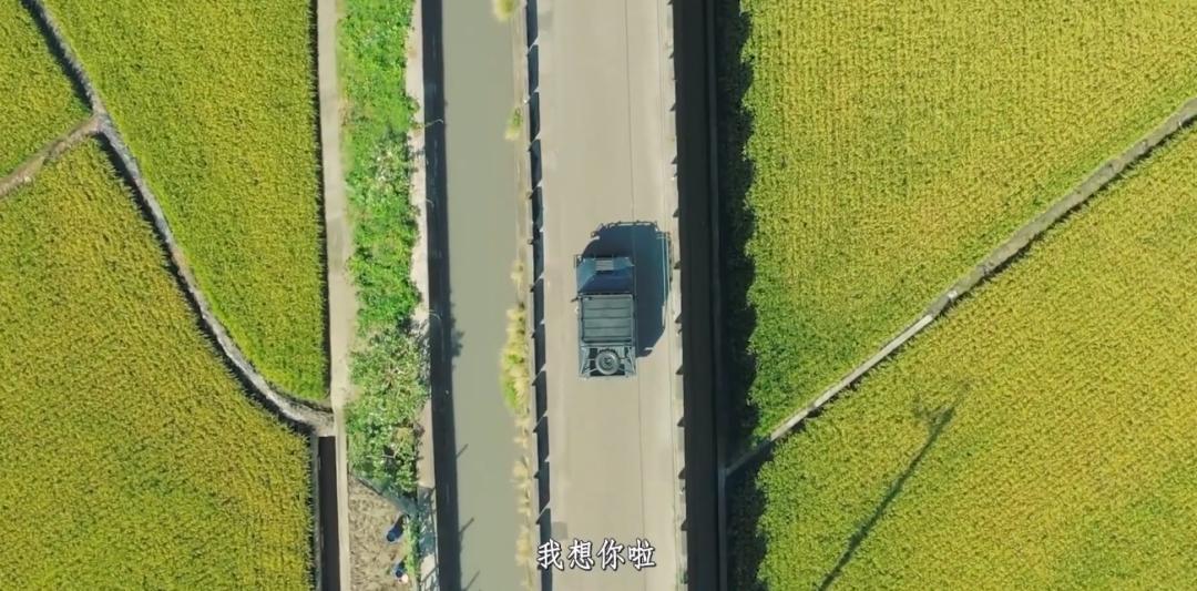 任贤齐曾经爱过张柏芝吗,任贤齐暗恋过张柏芝吗