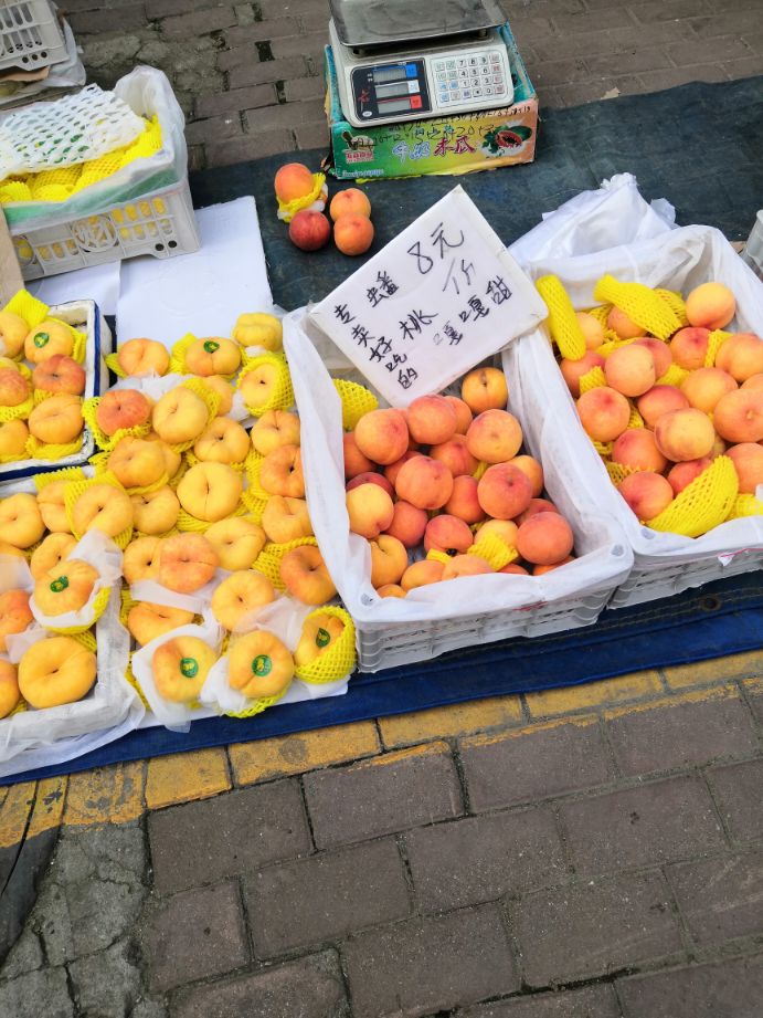 哈尔滨头条达人,哈尔滨头条新闻