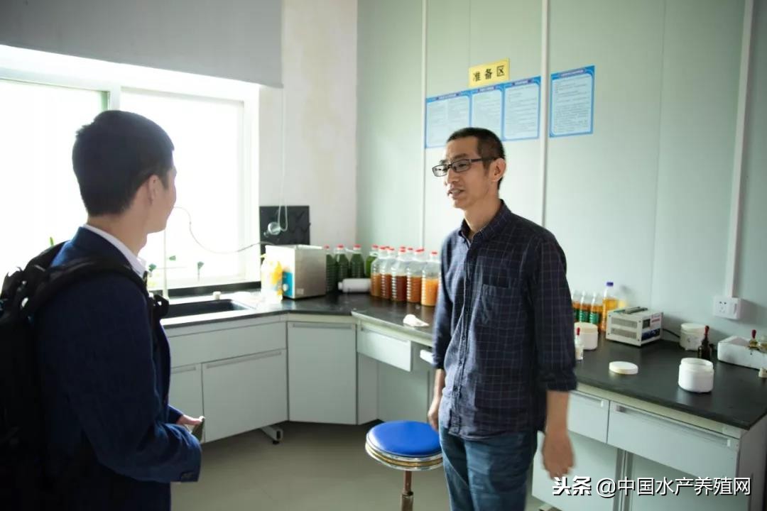 水产动保行业运营模式,水产动保企业发展