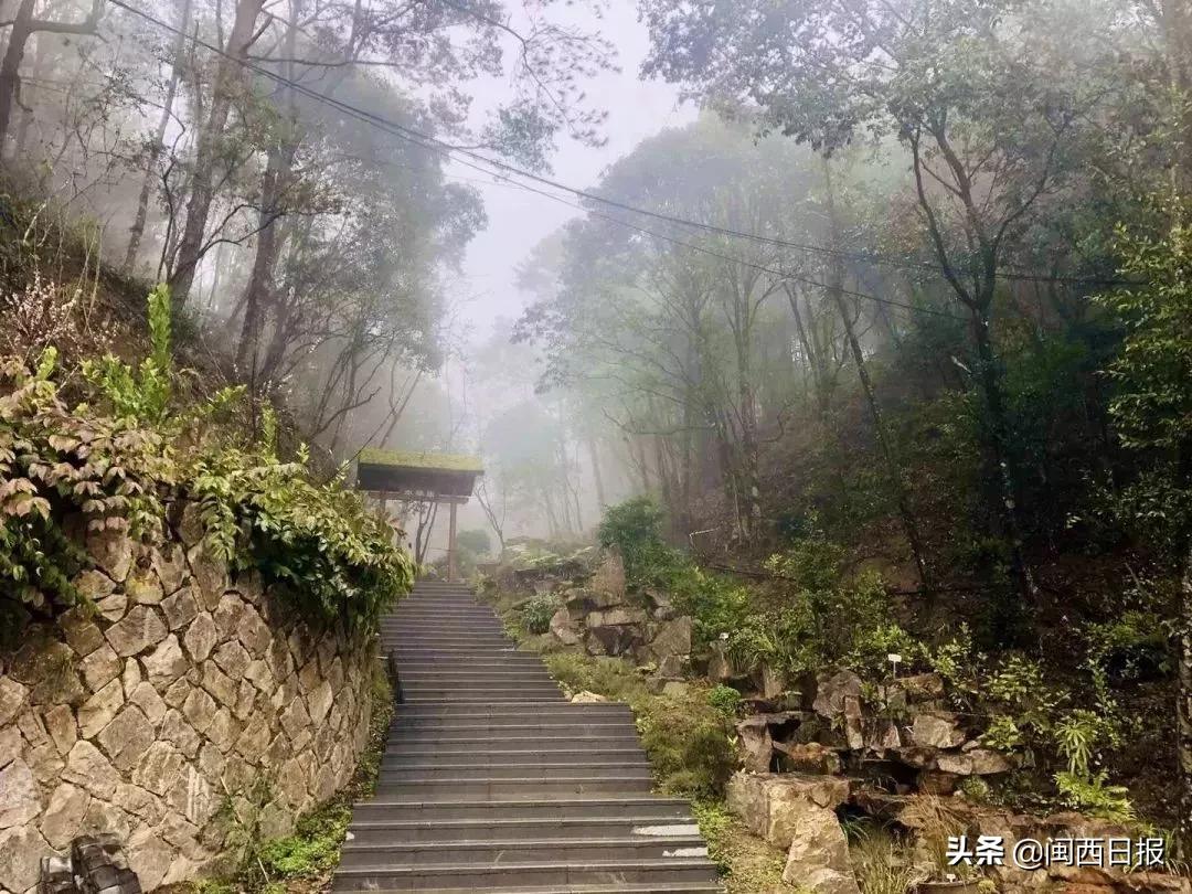 赞！古田、土楼、冠豸山…龙岩这些景点向全国医务工作者免费开放