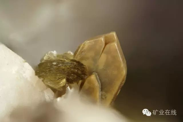 常见的矿物岩石有哪些,4种最常见于岩石里的矿物