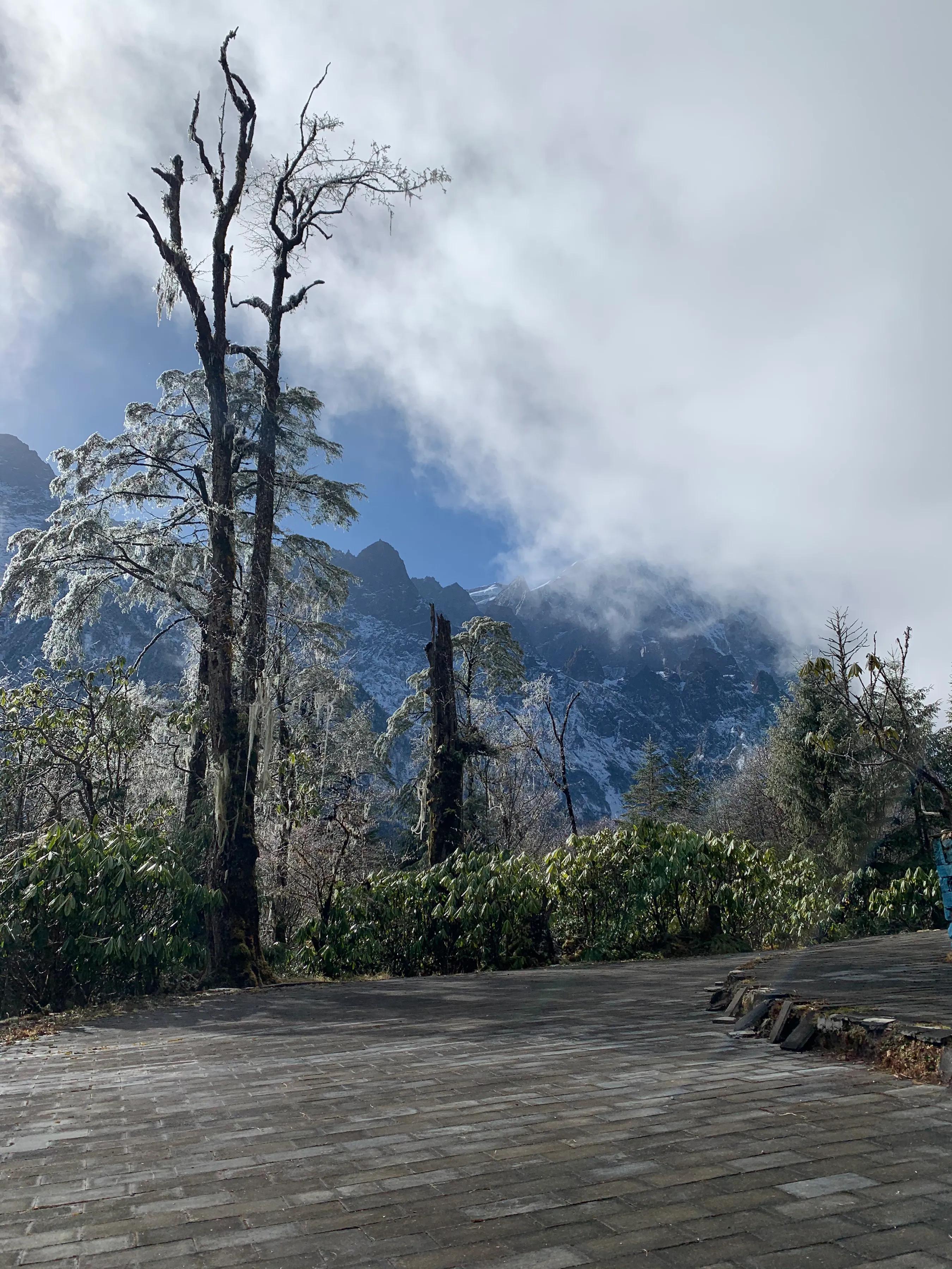 海螺沟燕子沟旅游攻略,海螺沟和燕子沟哪个更值得去