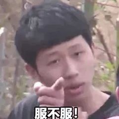 红腰子雅诗兰黛精华,红腰子和雅诗兰黛小棕瓶区别