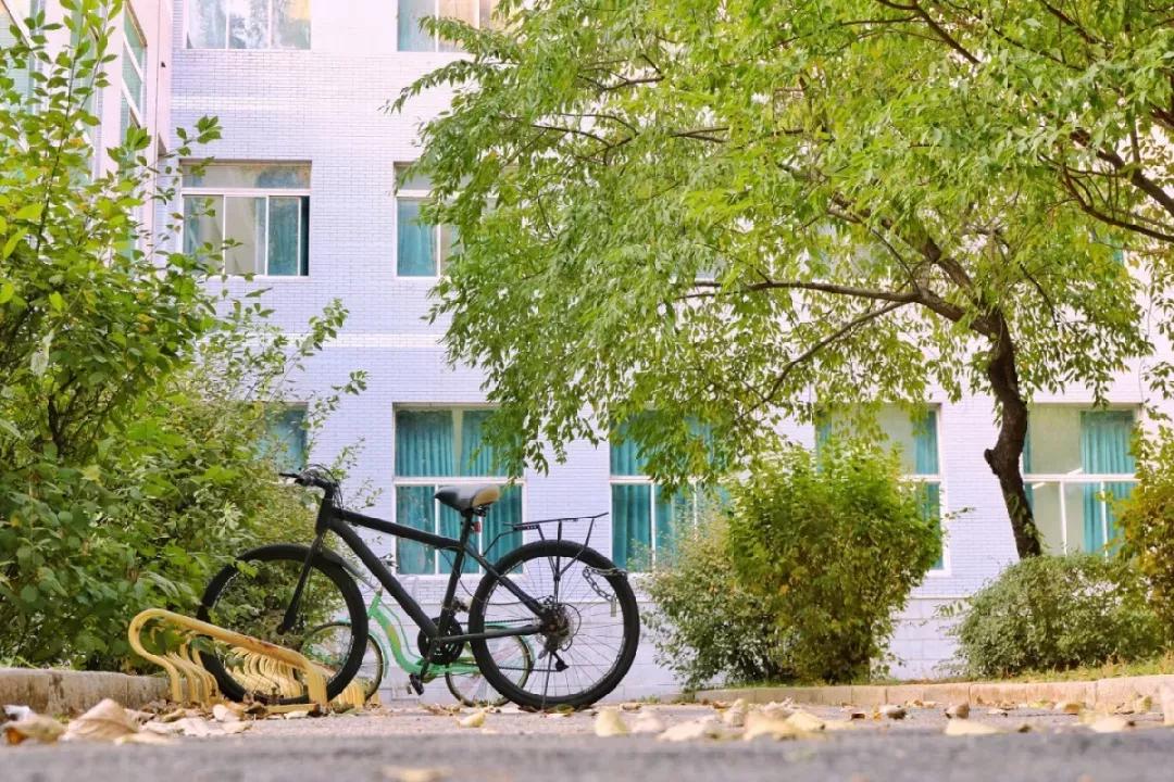 辽宁沈阳的医学大学,了解一下沈阳医学院