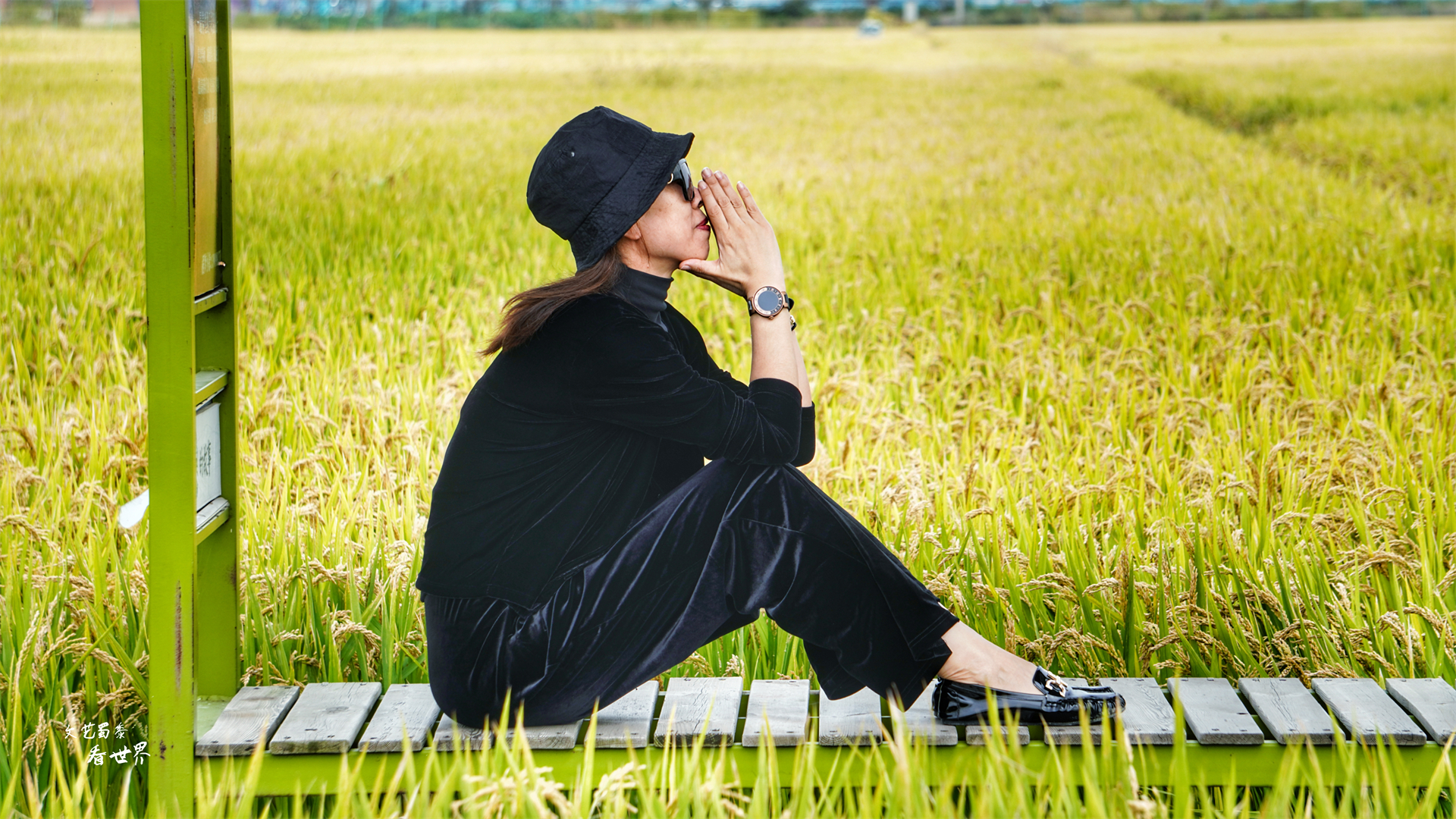 沈阳稻梦空间在哪个位置,沈阳市稻梦空间门票